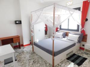 a bedroom with a bed with a canopy at PROMO!! 20euros le T2 à 30euros lr T3 pour les mois de sept Oct et Novembre Centre-Ville DIEGO-SUAREZ au nord de MADAGASCAR in Diego Suarez