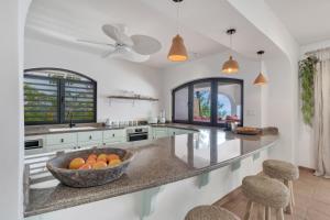 Η κουζίνα ή μικρή κουζίνα στο Oceanfront Villa Mingo Bonaire