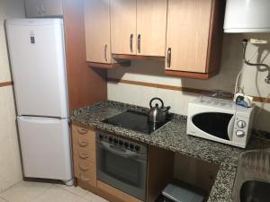 a kitchen with a white refrigerator and a microwave at Edificio con 2 opciones DUPLEX 3 DORMITORIOS Y APARTAMENTO 1 DORMITORIO EN PLAZA MAYOR in Segovia