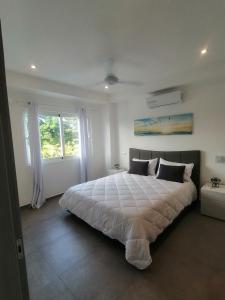 a bedroom with a large bed and a window at Sabrina Plaza Residence in Las Terrenas