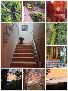 Fotografie z fotogalerie ubytování New Toropi Homestay v destinaci Gadaladeniya