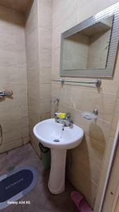 Un baño con un lavabo blanco y un espejo. en Apartment With Garden, en Tiflis