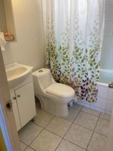 a bathroom with a toilet and a shower curtain at DepartamentoSantaInes in Viña del Mar
