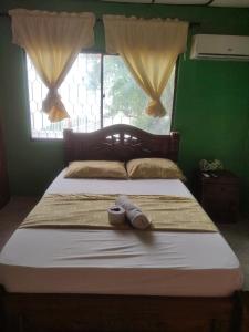 a bed in a room with a green wall at HOSPEDAJE CASA JENIFER SPA MOMPOXx in Mompós