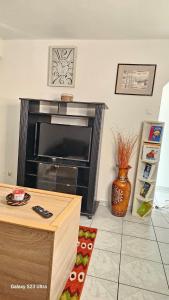 a living room with a television and a fireplace at 3 rue Maurice Utrillo in Bourg-en-Bresse
