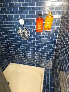 a blue tiled bathroom with a tub and two batteries at 3 rue Maurice Utrillo in Bourg-en-Bresse +17 photos