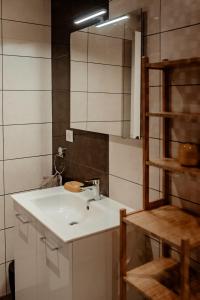 a bathroom with a sink and a mirror at Gîte Volcans - 1-4 pers, au calme à 20 mins de Vulcania, Puy-de-Dôme et Lemptegy, 35 mins du Mont Dore et du Sancy in Gelles