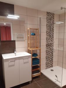 a bathroom with a sink and a shower at Gîte Volcans - 1-4 pers, au calme à 20 mins de Vulcania, Puy-de-Dôme et Lemptegy, 35 mins du Mont Dore et du Sancy in Gelles +29 photos