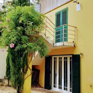 uma casa amarela com uma porta e uma árvore em Casa Amarante Porto em Amarante