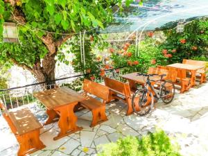 Ảnh trong thư viện ảnh của Apartments Uranus ở Rab