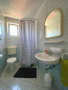 a bathroom with a sink and a toilet and a mirror at Apartments by the sea Sucuraj, Hvar - 578 in Sućuraj