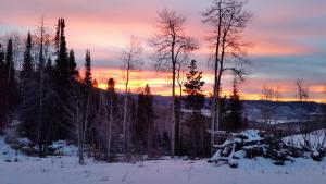 a sunset in the winter with snow and trees at Homesteader in Clark