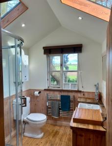 a bathroom with a toilet and a sink and a window at Woodpecker Cabin with Hot tub in Kings Lynn