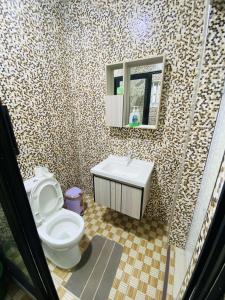 a bathroom with a toilet and a sink and a mirror at Danso apartment in Tokuse