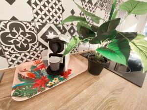 a coffee maker on a table next to a plant at Magnifique T2 au calme avec une superbe vue sur le port in Canet-en-Roussillon