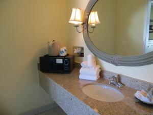 
a bathroom sink with a mirror above it at Seralago Hotel & Suites Main Gate East in Orlando
