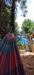 Příroda nedaleko prázdninového domu