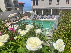 Gallery image of Melia Mar in Sozopol