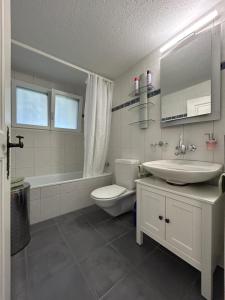 A bathroom at Apartment in Swiss Chalet Träumli