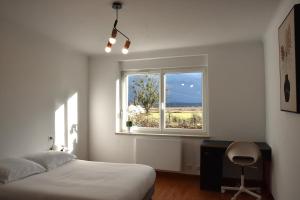 a bedroom with a bed and a window with a chair at Le Nid des Cigognes avec terrace in Thionville