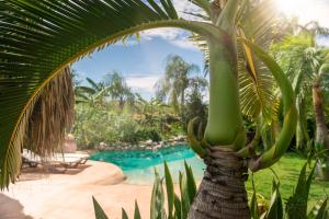 Bazén v ubytování B&B Villa Zomerland nebo v jeho okolí
