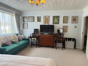 TV a/nebo společenská místnost v ubytování La Mer