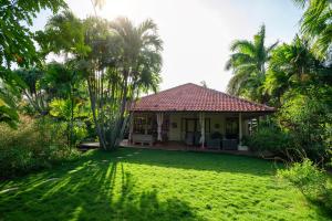Zahrada ubytování B&B Villa Zomerland + 37 fotografií