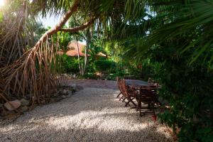 Zahrada ubytování B&B Villa Zomerland