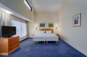 Televiisor ja/või meelelahutuskeskus majutusasutuses Radisson Blu Hotel & Spa, Daugava Riga
