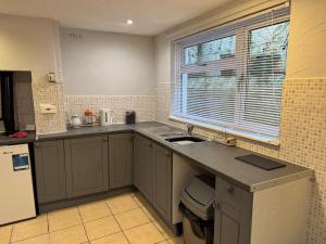 eine Küche mit Spüle und Fenster in der Unterkunft Lleine in Llandysul + 5 Fotos