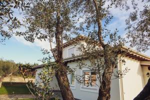 Zahrada ubytování Guest House Montestallone