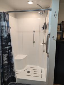 a shower with a glass door in a bathroom at A New A-Frame of Mind Cabin in Birnamwood