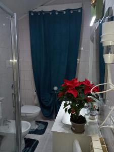 Gallery image of Dimora ANETT B&B HOUSE in Codevigo
