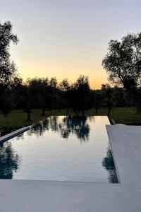 Πισίνα στο ή κοντά στο Che Bello Trullo piscina jacuzzi pallavolo