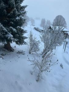 Chalet Mon Abri talvel