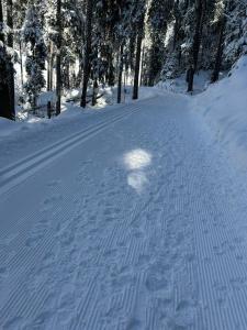 Chalet Mon Abri talvel