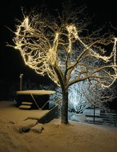 Ein Baum mit Lichtern im Schnee in der Unterkunft FW Aussicht Fam Sigl in Sankt Peter am Kammersberg