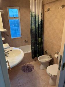 a bathroom with a sink and a toilet and a shower at Departamento en Gualeguay in Gualeguay