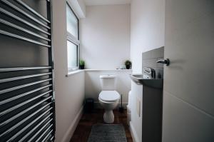 a small bathroom with a toilet and a sink at Prosper House Apartment 3 in Norwich