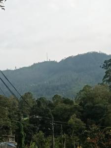 Gallery image of New Rose Villa Bandarawela in Bandarawela