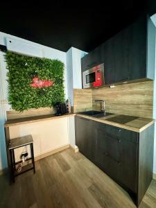een keuken met een groene muur en een wastafel bij Love room - Cap d'Agde in Cap d'Agde