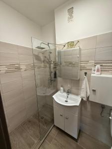 a bathroom with a glass shower and a sink at Boulevard Apartman in Nyíregyháza