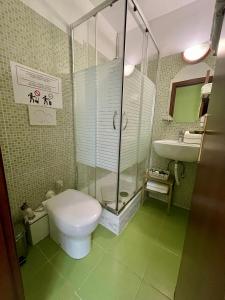 Kúpeľňa v ubytovaní Guest House Meret