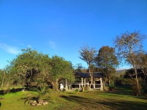 a house in the middle of a field with trees at Los 4 Vientos, Casa del Valle in San Javier
