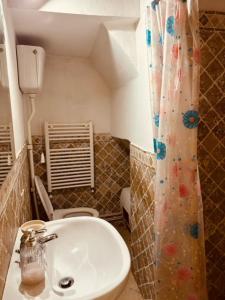 a bathroom with a sink and a shower curtain at Al Castello in Valeriano Lunense