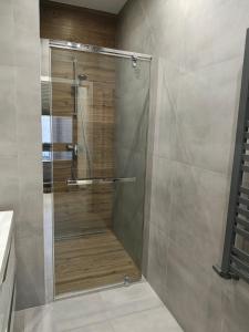 prysznic ze szklanymi drzwiami w łazience w obiekcie Apartamenty Dworcowa 45 w mieście Gliwice +37 zdjęć