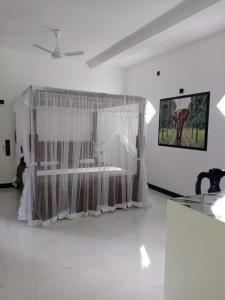 Fotografie z fotogalerie ubytování MANJU Homestay Unawatuna v destinaci Unawatuna