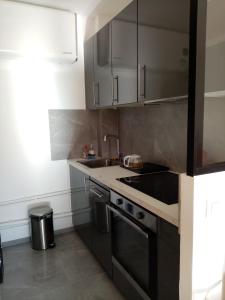 Kuchyň nebo kuchyňský kout v ubytování Aix centre charmant T2 climatisé parc jourdan
