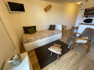 Televízia a/alebo spoločenská miestnosť v ubytovaní Appartements bien situés avec terrasse