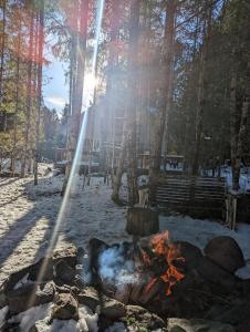 Un fuego en la nieve con el sol brillando a través de los árboles. en Butter Creek Cabin, en Packwood